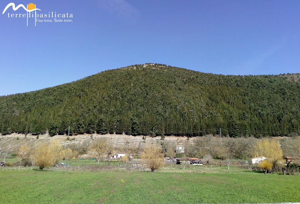 Terre_di_basilicata_monticello