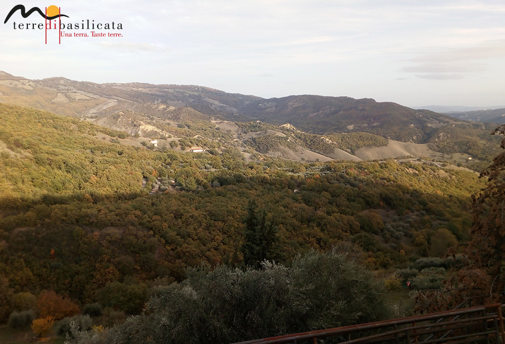 Terre_di_basilicata_paesaggio
